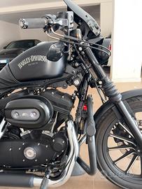 Harley davidson 883