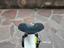 Immagine 6