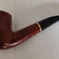 PIPA SAVINELLI CHIARA