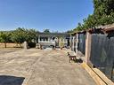terreno-recintato-con-oliveto-e-roulotte