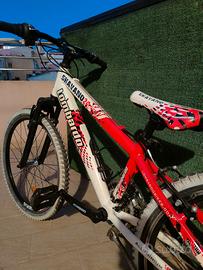 MTB lombardo shavano 24 "