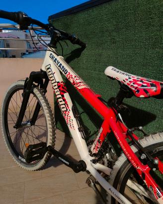 MTB lombardo shavano 24 "