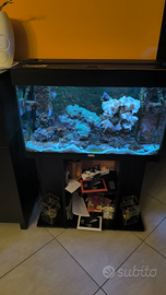Acquario marino completo VIVO