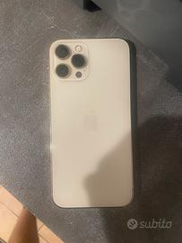 apple 12 pro max