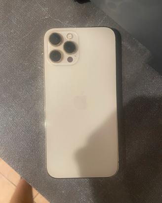 apple 12 pro max