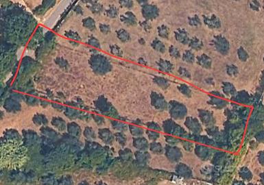 Terreno agricolo