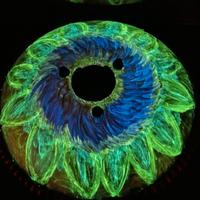 Artworked Steel Pan Drum 