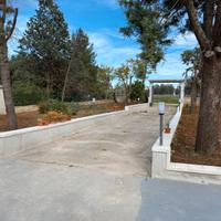 Affitto casa vacanza