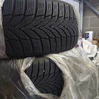 NEXEN gomme invernali 225/50/18