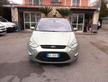 Ford S-Max 2.0 TDCi 163CV Titanium DPF 12