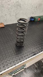 molla eibach per mono  crf 450  100kg