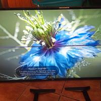 Televisione LG 4k ultra hd 49"