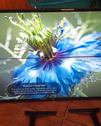 Televisione LG 4k ultra hd 49"