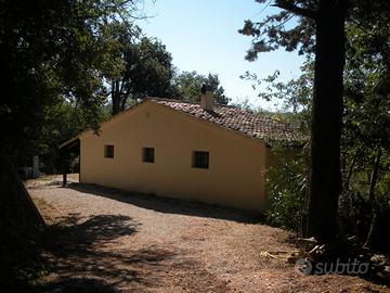 Casa di campagna singola a 6km da Urbino