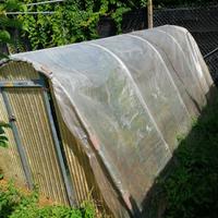 Serra per giardino