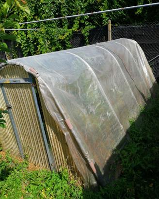 Serra per giardino