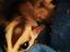 Immagine 5