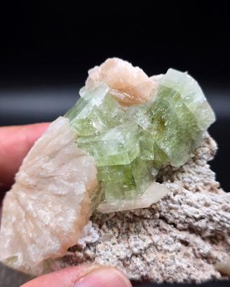 minerale Apofillite - India
