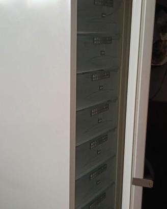 Congelatore Miele