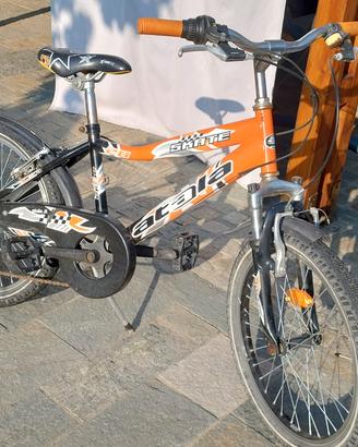 bicicletta bambino 