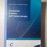 Lineamenti di diritto dell’Unione europea