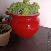 vaso da esterno o interni