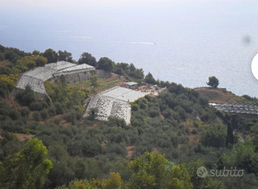Terreno Edificabile a Cipressa (IM)