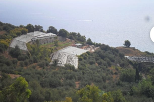 Terreno Edificabile a Cipressa (IM)