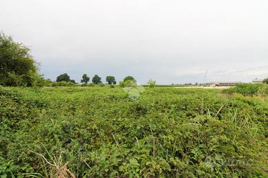 TERRENO A CASALBUTTANO ED UNITI