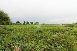 TERRENO A CASALBUTTANO ED UNITI