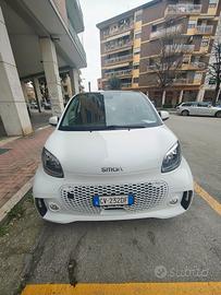 smart eq prime bianca 
