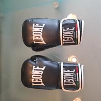 Guantoni Leone boxe e kick 