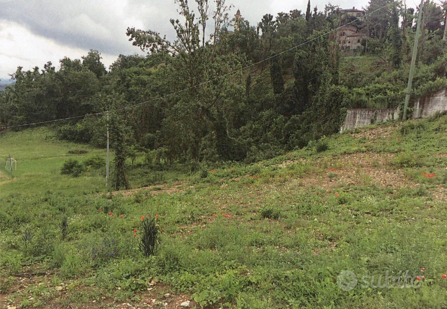 Rif.694| area edificabile travo - Vista 3