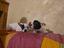 Immagine 6
