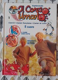 Esplorando il corpo umano - Il cuore