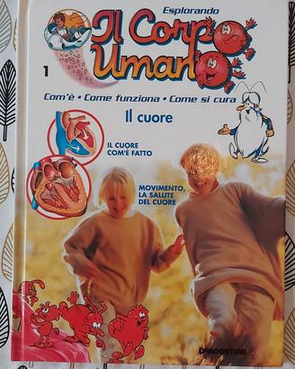 Esplorando il corpo umano - Il cuore