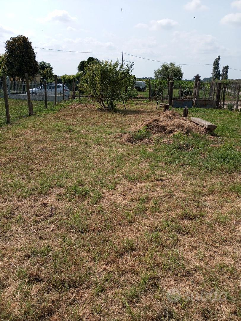 Rustico con terreno di pertinenza - Vista 4