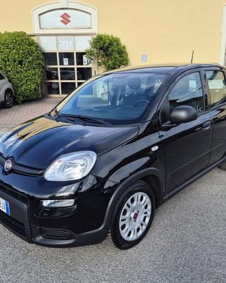 FIAT Panda 1.0 firefly hybrid s&s 70cv 5p.ti
