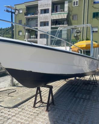 Barca fiart brezza motore 40/60
