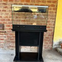 ✅ Terrario in vetro con modiletto ✅