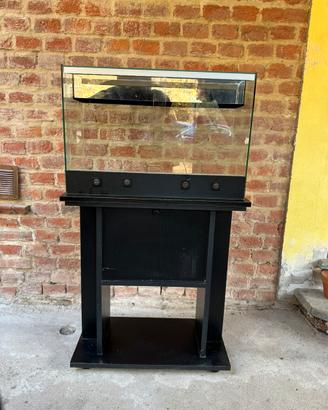 ✅ Terrario in vetro con modiletto ✅