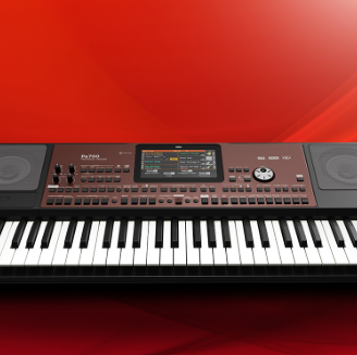 Tastiera KORG Pa 700 +borsa or, pedale, cavalletto