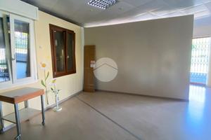 NEGOZIO A DALMINE