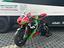 Immagine 2