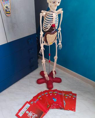Divertiti eScopri Il Corpo Umano Collez.DeAgostini