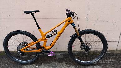 Canyon Torque CF9 29