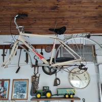 bici da passeggio 