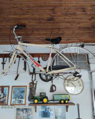 bici da passeggio 