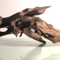 Legno per acquarium