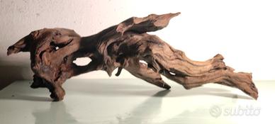 Legno per acquarium